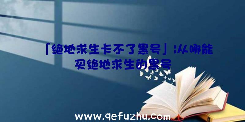 「绝地求生卡不了黑号」|从哪能买绝地求生的黑号